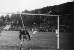 ."Molde FK, MFK, Molde fotballklubb"