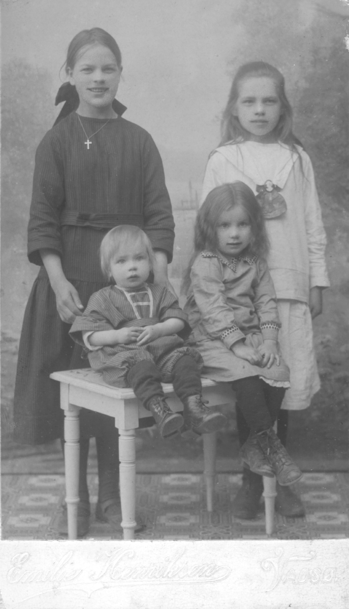 Album med portrettbilder. Albumet har tilhørt Aksel Konrad Mikkola og hans hustru Kathinka Marie, f. Mikkelsen. Det er nå i Solbjørg Mikkolas eie. Navnene til de portretterte er for en stor del ukjente, men mange er fra Neiden og Sør-Varanger. Kathinka kom opprinnelig fra Lofoten, og en del av bildene viser hennes familie i Nordland