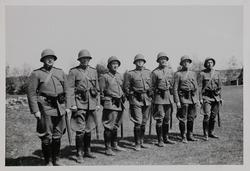 Tropsførere under Justisministerens inspeksjon