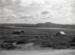 Murkhovd, Øystre Slidre.