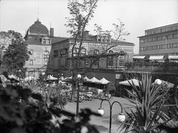 "Friluften" i Tivoli.