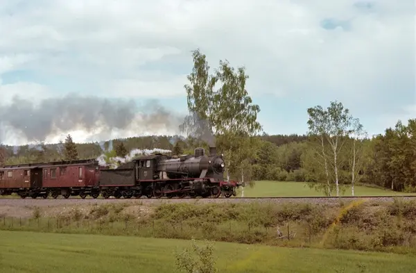 Veterantog på Solørbanen, syd for Kirkenær. Toget trekkes av