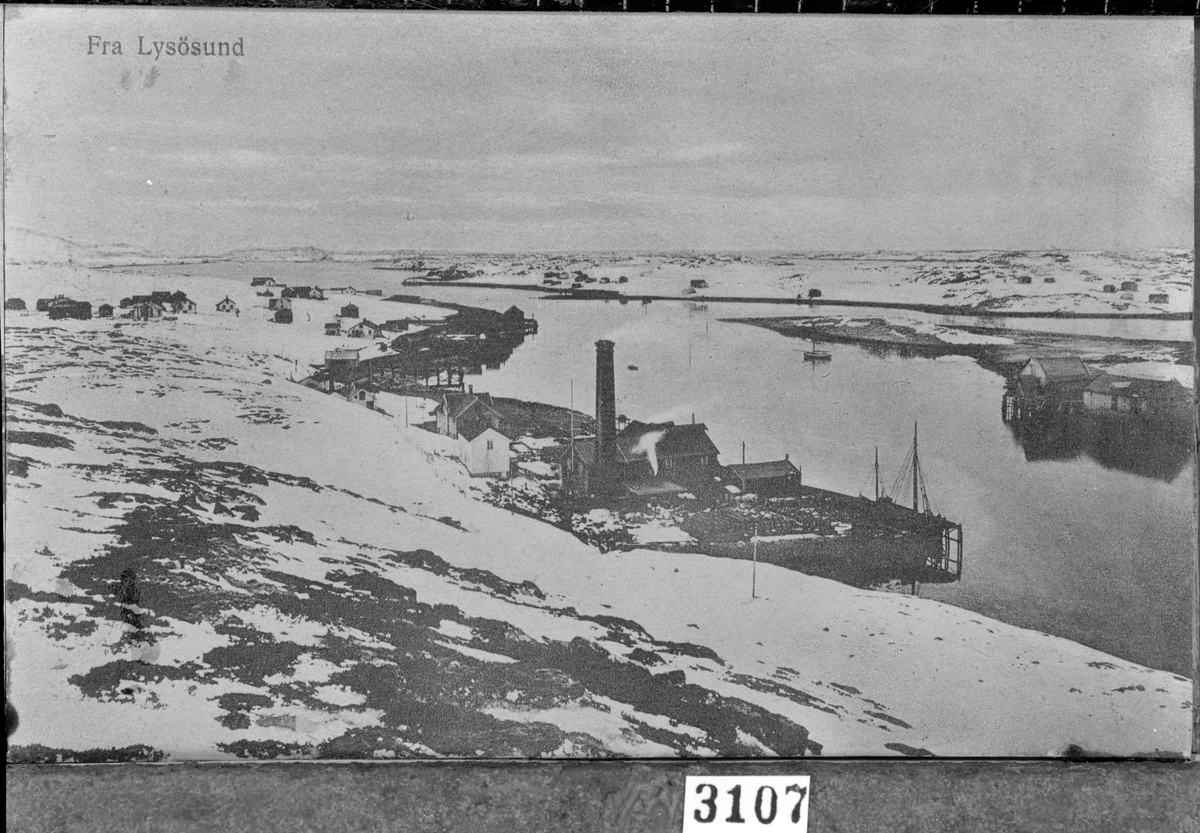 Postkort. "Fra Lysøsund"
