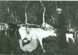 Valldalen på Toven i juli 1939.Ebba og broren Tomas d.y.Renb