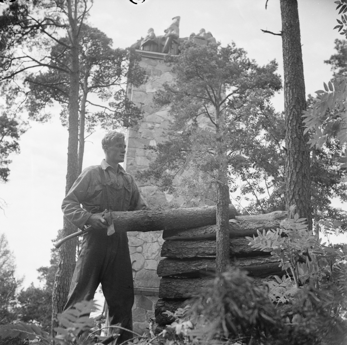 Skogsavverkning vid Sten Sturemonumentet, Uppsala, maj 1947