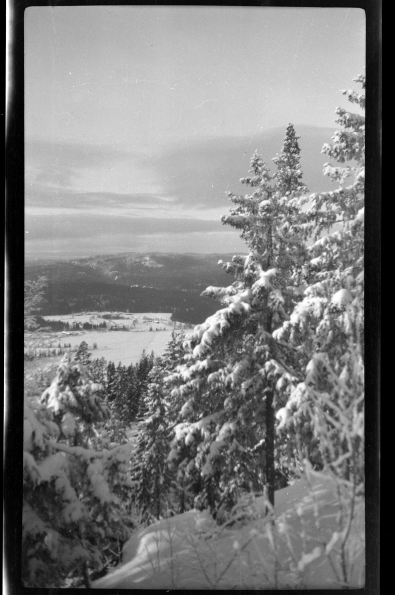 Vinterutsikt fra Villa Knyggen i Voksenlia, Oslo. Fotografert 1921.