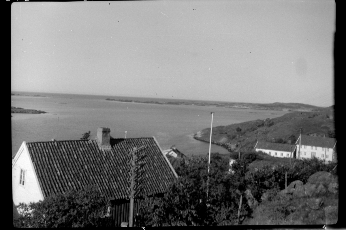 Loshavn fra Støa mot Klubben. Fotografert 1953.