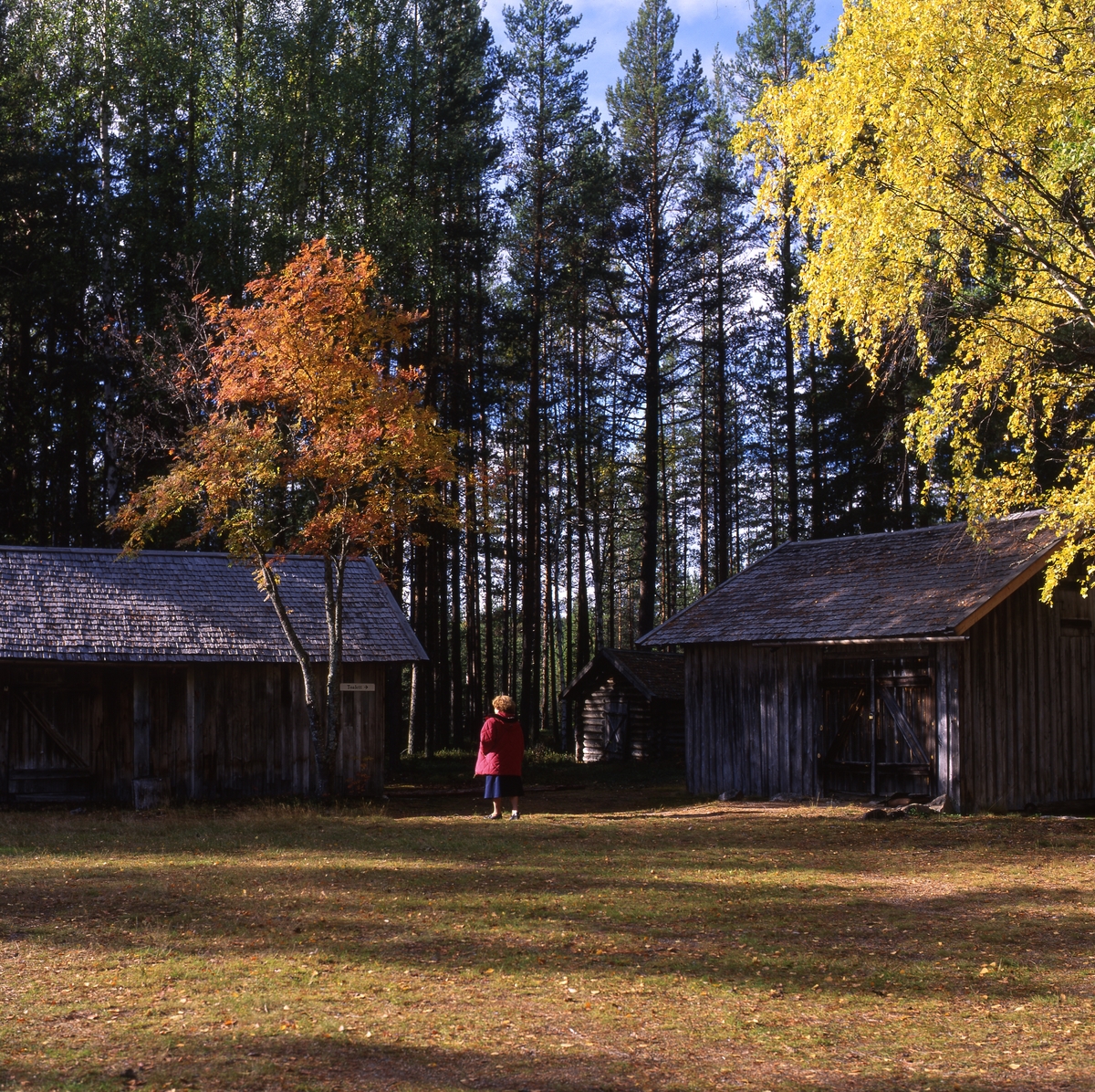 Vid Albert Vikstens torp vid Ängratörn,  4-5 oktober 1997.  "Målarbesöket" Deisy och Gunnar var med. Fina höstfärger. Det är sol och här ser vi Adéle vid de grånade uthusen.