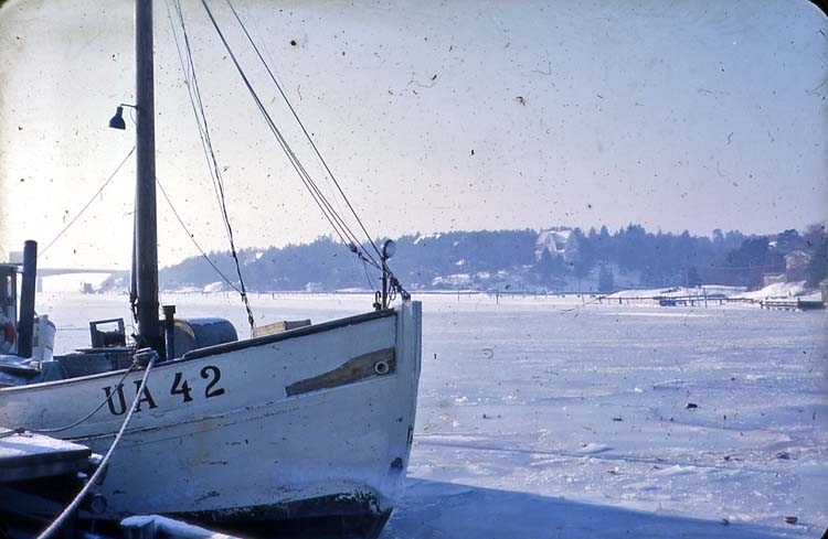 Vinterbild, fiskebåt UA 42.