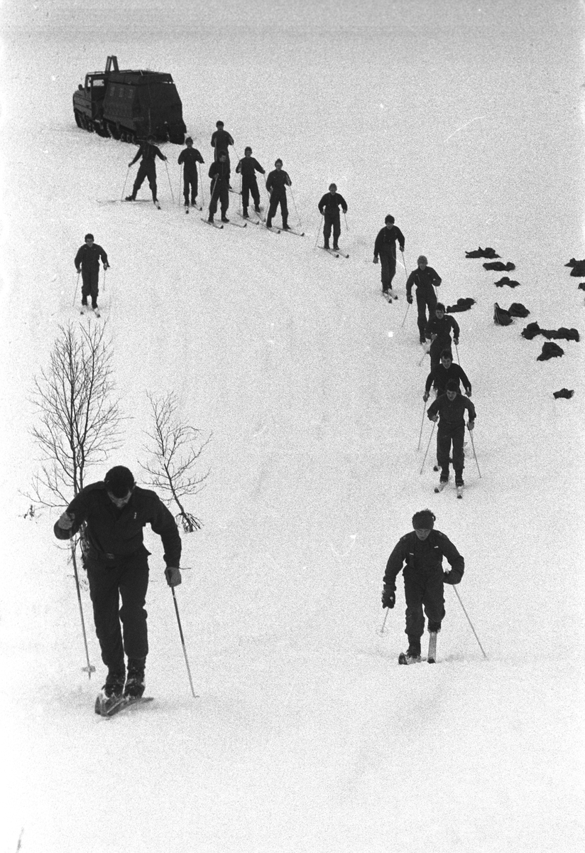 Befalsskolen Nord Norge, vinterskyting på Melå-platået. Befalsskoleelever på ski går opp bakke. Beltevogn i bakgrunnen.