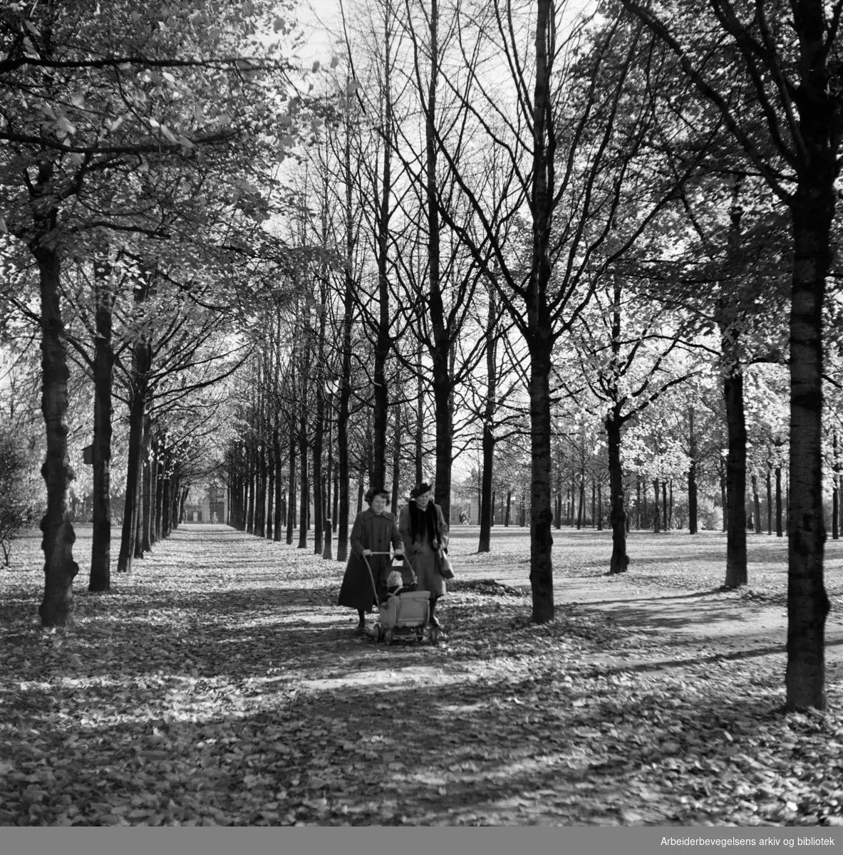 Frognerparken. Oktober 1950