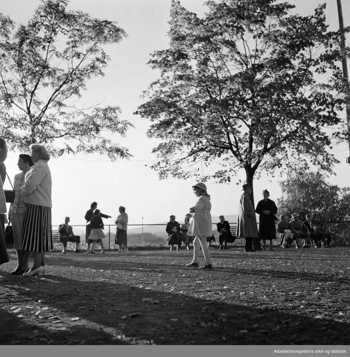 Frognerparken. September 1956