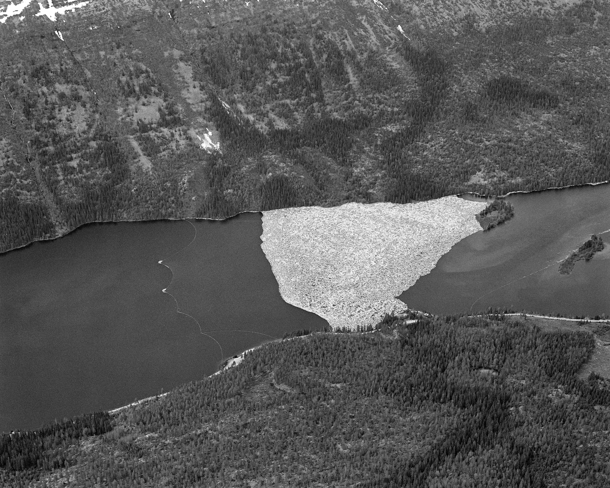 Flyfotografi fra nordenden av Sennsjøen i Trysil.  Bildet er tatt våren 1986 over et landskap med en smal innsjø omgitt av et terreng med skog, i hovedsak glissen bjørke- og furuskog, men også tettere granbestand i partier med djupere jordsmonn og mer fuktighet.   I de bratte liene øst for Kampflåhøgda, på vestsida av vassdraget, var det stort sett bare stein og grusmasser uten skogvegetasjon.  Langsmed østsida av vassdraget (nederst i bildet) gikk Sennsjøvegen (fylkesveg 581) forbi Sennsjøvik-gardene.  Ute i innsjøene ser vi de to Sandholmene.  Like sør for disse holmene lå det ei lense, der tømmeret som var fløtet ned Femundselva fra Engerdal ble holdt tilbake i påvente av høvelig vannstand i den nedenforliggende delen av Trysilelva.  I den øvre delen av vassdraget var man avhengige av å fløte mens det var flomvannføring, for å slippe at tømmeret satte seg fast på grusører i elveløpet. Lengre nedover var det et poeng at vårflommen skulle være på retur før de store tømmermengdene kom. I det flate lendet langs Trysilelva kunne nemlig flomvannet føre mange av stokkene langt inn på land, og i så fall ble det arbeidsomt for fløterne å bære dem tilbake til vannstrømmen i elveløpet når vannstanden sank. Derfor ble engerdalstømmeret ofte holdte tilbake i Sennsjølensa til begynnelsen av juni. Det året dette fotografiet ble tatt ble det levert om lag 22 000 kubikkmeter fløtingsvirke fra Engerdal. Dermed ble bilvegene i regionen spart for 3 - 4 000 lastebillass. Fløterne var avhengige av nordavind når det åpnet Sennsjølensa, for strømdraget var ikke kraftig nok til å dra tømmeret gjennom sjøen om det blåste fra sør.  På vannspeilet ser vi hvordan fløterne hadde sikret tømmerbeholdningen ved å legge ei sikringslense utenfor hovedlensa (til venstre) og ei lense som hindret tømmeret i å drive inn i Sennsjøvika.