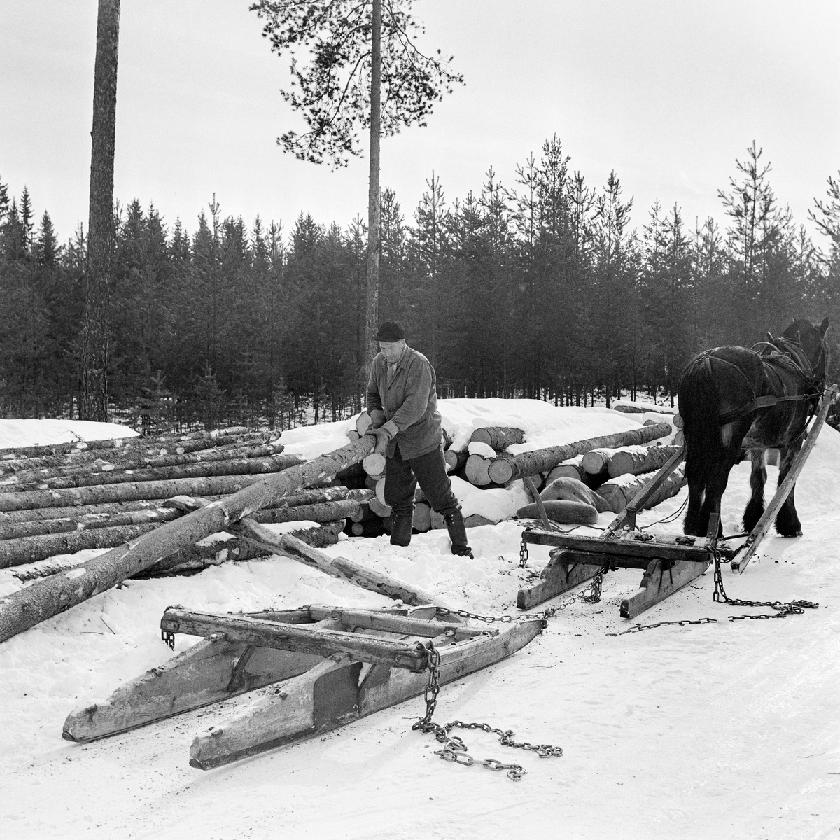 Jørgen Larsen (1919-1988) fra Hernes i Elverum lesser grantømmer i Stavåsen, Elverum, vinteren 1971.  Bildet viser hvordan tømmerkjøreren fikk stokkene opp på tømmerlunna ved å bruke ei såkalt «kjerring», «lassmerr» eller «lesseknekt», en stokk det er hogd hakk i, og som er lagt skrått mot lunnas midtparti. Hakkene i denne stokken ble brukt som anleggs- og vippepunkter når tømmeret skulle opp på toppen av lunna.  Da dette fotografiet ble tatt arbeidet Jørgen Larsen med å få den siste stokken opp på lunna.  I forgrunnen står en tom tømmerrustning, en todelt tømmerslede.  Den bakerste sleden – «geita» – var litt kraftigere enn «bukken» foran, for det var den som skulle bære størstedelen av lasstyngden.  Bukken hadde en dreibar bank, som bidro til å gjøre doningen smidig på svingete og staupete kjøreveger i skogen.  Tømmerkjører Jørgen Larsen var kledd i vadmelsbukse og vindjakke.  Han hadde skjoldlue på hodet og langskaftete gummistøvler på beina.