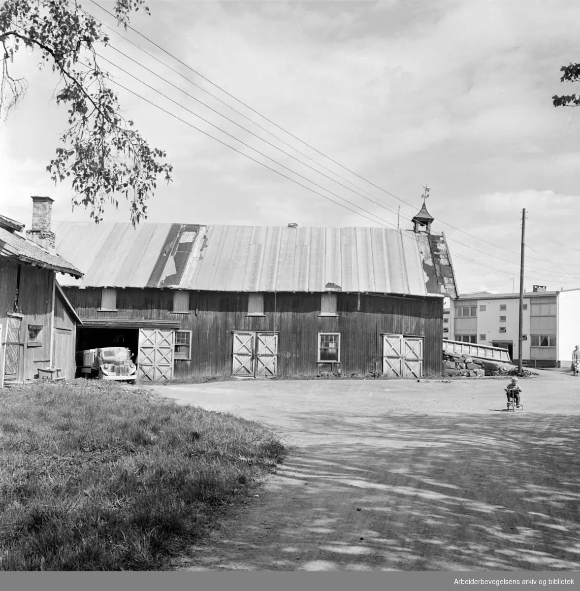 Fjellhus Allé. Fjellhus gård. Juni 1962
