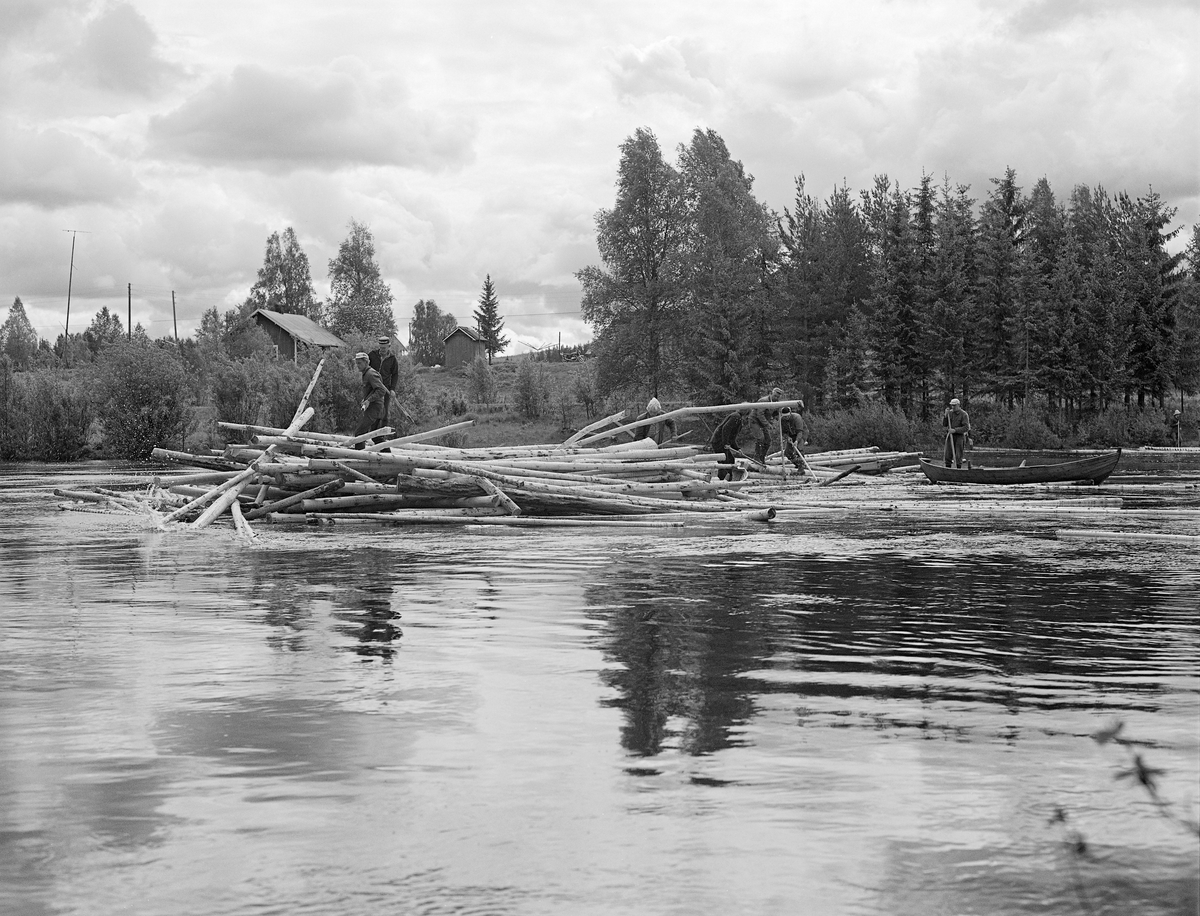 Riving av tømmerhaug i elva Flisa, ei sideelv til Glomma i Åsnes i Hedmark.  Fotografiet er tatt i 1981.  Haugen har bygd seg opp ved de såkalte Lenseskjæra, like ved Storvelta i Flisa-elva. Under tømmerhaugen skjuler det seg to store skjær (steiner) som ble kalt Lenseskjæra.  Seks fløtere arbeidet på haugen med haker, mens en sjettemann bidro fra en båt som lå inntil haugen.  Vi skimter også ytterligere en fløter inne ved land. Huset ved elvebredden står på eiendommen Valby. Bildet er tatt fra vest mot øst. Vannet renner mot Valbyfoss.