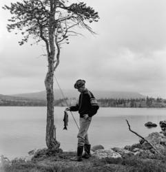 Sportsfiskeren Kjell Søgård (1936-1971) poserer med en pen ø