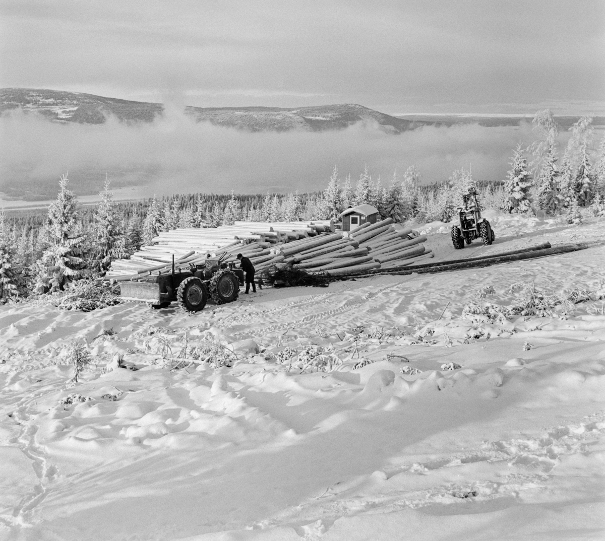 Tømmerkjøring med traktorer ovenfor Innsetsetra i Strandbygda i Elverum kommune i Hedmark vinteren 1969.  Fotografiet er tatt oppe i ei li en kald vinterdag.  Vi ser hvordan tåka ligger over dalbotnen nedenfor.  I forgrunnen arbeides det med to traktorer ved en velteplass.  Bak tømmeret skimter vi taket på ei kvilebrakke.  Ifølge nåværende eier av den skogen der fotografiet er tatt ble tømmeret lunnet med en 1958-modell Fordson major super county som var påmontert en totromlet Isachsen-vinsj.  Den andre traktoren er antakelig en 1969-modell Ferguson 178 med griplaster fra produsenten Vendelbjørn. Bruk av traktorer til framkjøring av tømmer fra hogstfeltene i skogen til velteplasser ved bilveg der det kunne hentes og transporteres videre på lastebiler ble raskt vanlig i 1950- og 60-åra. Etter hvert ble det også gjort forsøk med lunning av helstammer - altså tømmer som ikke var "aptert".  Innføringa av slike driftsprinsipper var nært knyttet til den rammestyrte traktorteknologien.  Den første rammestyrte skogstraktoren for stammelunning ble hentet til Norge i 1962 i et samerbeid mellom Skogforsøksvesenet og Meraker Brug.  Vinteren 1969 fantes det 233 slike maskiner i Norge, flest i de store skogfylkene med Hedmark og Telemark i spissen.  En noe velvillig kalkyle antydet at disse rammestyrte traktorene vinteren 1969 tok unna bortimot 20 prosent av lunningskvantumet.  En aktør i det skogteknologiske forskingsmiljøet tilskrev stammelunneren og motorsaga hovedæren for at tariffutviklinga i skogbruket hadde tatt ei - for skogeierne - gunstig vending.  Traktorer med tømmertilhenger og griplasterkran ble lansert som en nyhet i slutten av 1960-åra.  Da hadde den svenske produsenten HIAB lansert sin "skogselefant".  Her til lands var skogteknologene skeptiske til denne maskintypen.  Med den norske eiendomsstrukturen og i norsk terreng var det helstammelunnerne som var framtidsrettet, hevdet de.  Mjøsen, Glommen og Nedre Glommen skogeierforeninger satte likevel i gang forsøk med det de kalte «kombinasjonsmaskiner» - traktorer med griplastere og boggidoninger.  Etter hvert var det denne teknologien som vant fram.  Skogteknologene kalte dem for «lastetraktorer», mens maskinforhandlerne brukte betegnelsen «lassbærer», for å tydeliggjøre at det tømmeret man fikk fram ikke ville være sølete og tilgriset, slik stammelunnet virke kunne være, i hvert fall i sommerhalvåret.  Traktoren til høyre på dette fotografiet hadde kran med gripeklo, men ikke boggitilhenger av den typen som de svenske produsentene leverte.