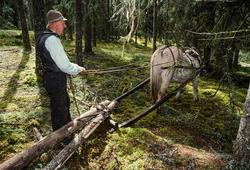 Hestekaren og tradisjonsbæreren Ola Kolstad fra garden Fjell