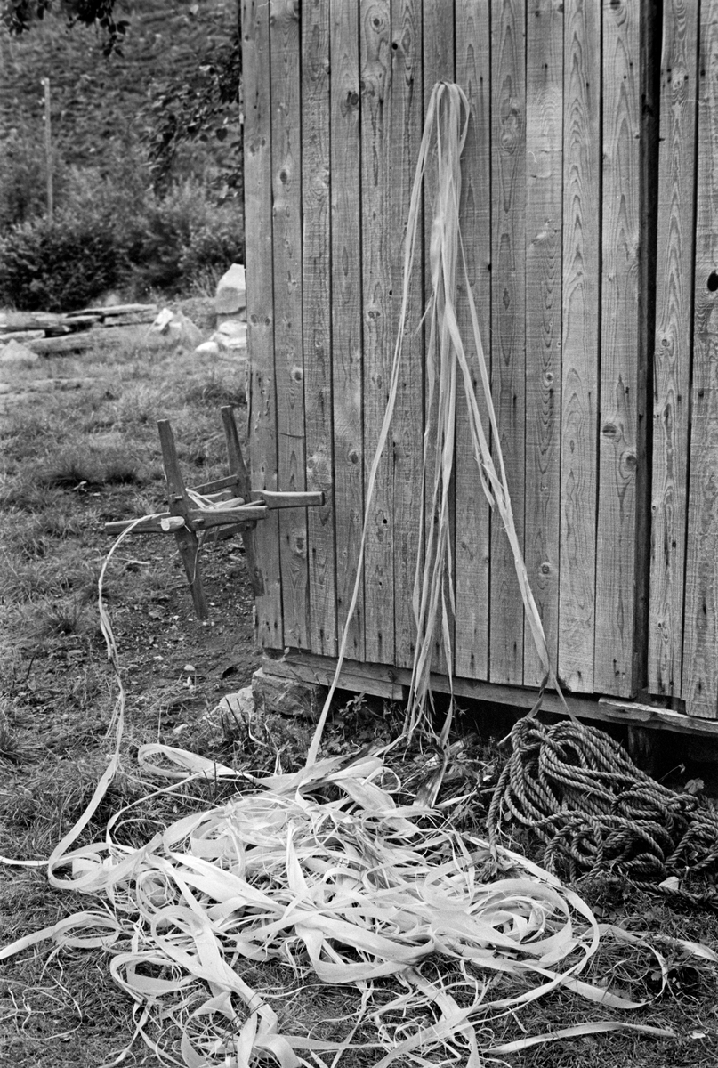 Tvinning av lindebasttau på Nordfjord folkemuseum i Sandane, Gloppen kommune i Sogn og Fjordane fylke.  Fotografiet er tatt ved hjørnet av en bygning som var kledd med umalt faspanel.  Her var det festet ei trevinde («hesplatre») , og det fantes en del lindebast.  Dette skulle spinnes til tau ved å rotere vinda mens mannen som utførte arbeidet holdt i lindebasten med den ene handa og lot den følge langsomt med, slik at fibrene ble jevnt spunnet.