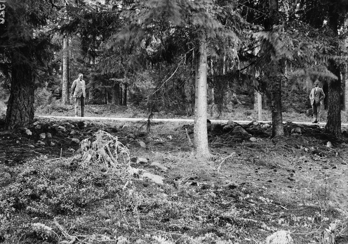 Två män på skogsväg, Uppland
