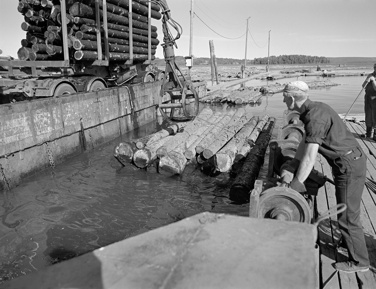 Tømmeropptak fra Bjørnstadbrygga ved Femsjøen i Halden i Østfold.  Denne innsjøen ble i mange år brukt som reservoar for tømmer, men fra slutten av 1970-åra brukte Saugbrugsforeningen bare stubbeferskt, ubarket massevirke av gran i produksjonen av magasinpapir.  Stadig mer av dette virket ble kjørt direkte til fabrikken på lastebiler.  I fløtingssesongen ble likevel fortsatt en del virke fløtet mellom Skulerud i Høland og Bjørnstadbrygga, hvor det ble tatt opp av vannet og kjørt de siste par kilometerne ned til Saugbrugsforeningens produksjonsanlegg.  De tungtflytende tømmerbuntene ble ledet inn i denne dokka.  Deretter ble botnen hevet noe, slik at det ble lettere å løsne de tre-fire vaierbindene som hadde holdt buntene – «mosene» – sammen siden utislaget lengre oppe i vassdraget.  Så kunne stokkene løftes opp på bilen ved hjelp av ei kran med gripeklo, før tømmeret ble kjørt de siste par kilometerne ned til fabrikken på Kaken i Tistedalen.  Mosene var nemlig for tunge for krana lengre nede i vassdraget.  Dette bildet viser tømmerdokka med en bunt, gripekloa og en lastebiltilhenger som var fullastet med fuktig grantømmer.  Tømmerbunten i dokka hadde fortsatt et par vaierbind, og var derfor ikke helt klar for opplasting.  Mannen til høyre i forgrunnen skulle ut på bunten for å løsne bindene.  Fotografiet er tatt i 1982, som ble siste fløtingssesong i dette vassdraget.

En liten historikk om tømmerfløting og kanaliseringsarbeid i Haldenvassdraget finnes under fanen «Opplysninger».