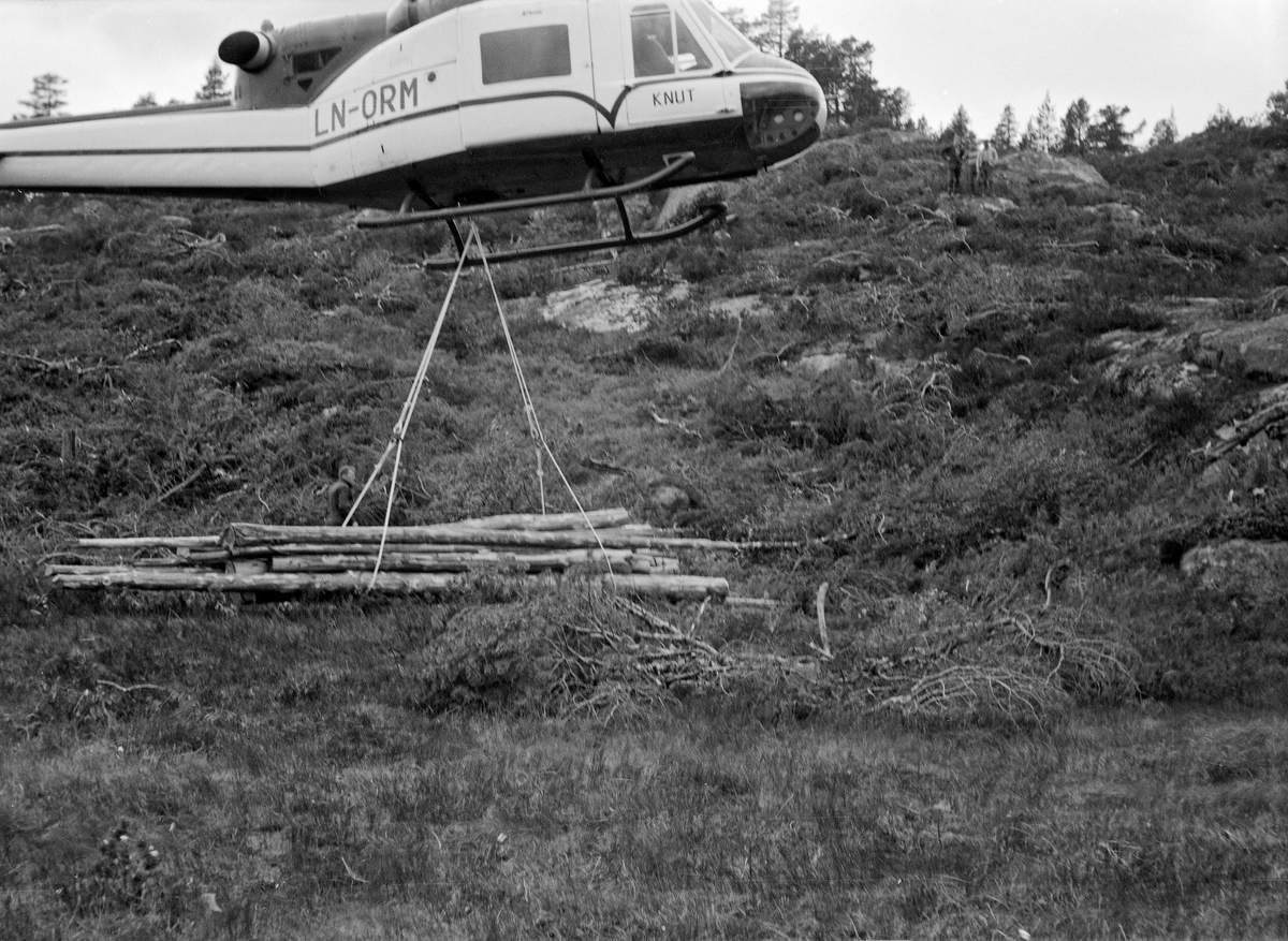 Fra forsøk med helikoptertransport av tømmer i bratt fjellterreng på godseier S. D. Cappelens skogeiendom sør for Tarrenuten på østsida av Kviteseidvatnet i Telemark.  Disse forsøkene ble utført i begynnelsen av juli 1962 med et helikopter av typen «Bell 204-B» som selskapet Helikopter Service A/S leide ut til dette prosjektet.  I god tid før helikopterforsøket startet hadde man hogd ei om lag 9 hektar stor flate i til dels bratt, kløftet og storsteinet terreng.  Trærne ble kvistet, barket og tørket noe før helikoptertransporten startet.  Hver enkelt stokk ble også veid og samlet i bunter, slik at lassene nyttet mye av, men ikke hele, helikopterets løftekapasitet.  Forskerne kunne konstatere at gjennomsnittslasset veide 1 378 kilo, om lag 86 prosent av maskinens oppgitte løfteevne.  Tømmeret skulle fraktes om lag 630 høydemeter ned mot Kviteseidvatnet, der det ble sluppet fra lav høyde ned i en ringbom med sikte videre fløting mot Ulefoss og Skien.  Dette fotografiet er tatt idet helikopteret var i ferd med å lette med en stroppet tømmerbunt.  Mer informasjon om forsøkene med helikoptertransport av tømmer fra vanskelig terreng finnes under fanen «Opplysninger».