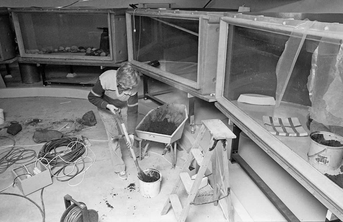 Fra bygginga av akvariet «Fra fjell til fjære» ved Norsk Skogbruksmuseum i Elverum i 1979.  På dette fotografiet ser vi akvariedekoratør Jørgen Eggers fra Danmarks akvarium, som blandet sement og vann i ei plastbøtte.  På denne måten lagde han betong, en tyktflytende og forholdsvis hurtigherdende masse, som skulle brukes som bindemiddel i arbeidet med «interiørene» i akvariekarene. Førstnevnte var i Elverum i 10 dager i januar 1979 for å bistå med nettopp denne oppgaven. Akvariet ble offisielt åpnet for publikum i forbindelse et representantskapsmøte 22. juni 1979, som også markerte Norsk Skogbruksmuseums 25-årsjubileum.