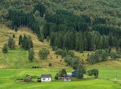 Landskap ved Skarstein, innerst i Oldebukta i Stryn kommune 