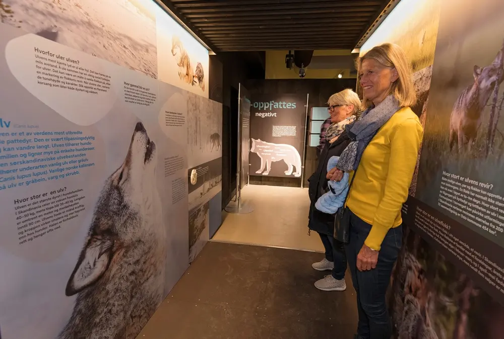 Fra «portalen» i utstillingen «Ulvetider» på Norsk skogmuseum.  Fotografiet er tatt under åpningen av denne utstillingen, 26. april 2018.  Bildet viser to kvinner som studerer montasjer med fotografier og tekst som dreier seg om ulvens biologi.

På Norsk skogmuseums hjemmesider er «Ulvetider» omtalt slik:

«Utstillingen setter fokus på konflikter rundt ulv i Norge og hva som har ledet fram til situasjonen i dag. Du møter mennesker som lever i ulvesonen som forteller om sine opplevelser og du kan lære om dagens forvaltning, forskning og få kunnskap om ulven som art. 

Norsk skogmuseum ønsker å bidra til å forstå meningsmotstanderne bedre og vil selv være en arena der gode diskusjoner kan oppstå. Gjennom utstillingen ønsker vi å legge til rette for en konstruktiv utvikling av en fastlåst situasjon. Museet bygger på konfliktdempende metoder utviklet av Nansen Fredssenter. Hovedmålgruppen for utstillingen er ungdom i alderen 15–18 år, men vi ønsker å nå et bredt publikum og tror mange vil ha glede og nytte av å se utstillingen.

Utstillingen er blant annet støttet av Fritt ord, Miljødirektoratet og Anno - Museene i Hedmark.»