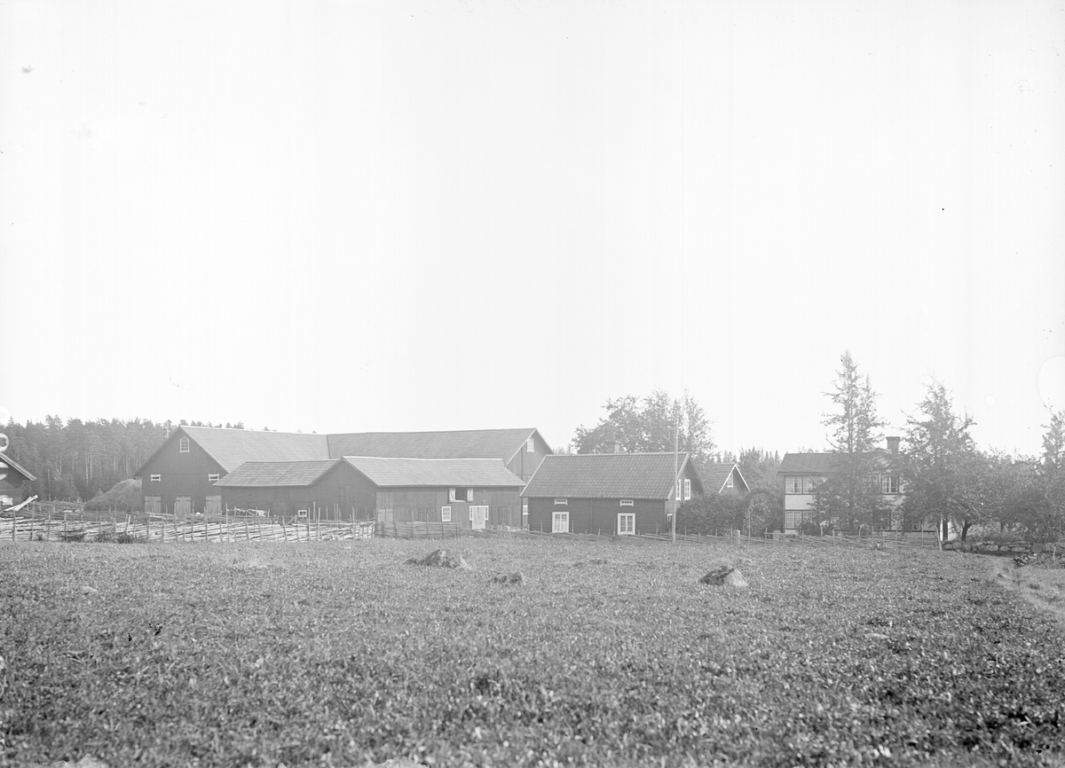 L. J. Johanssons gård i Nygård, Simtuna socken, Uppland 1923