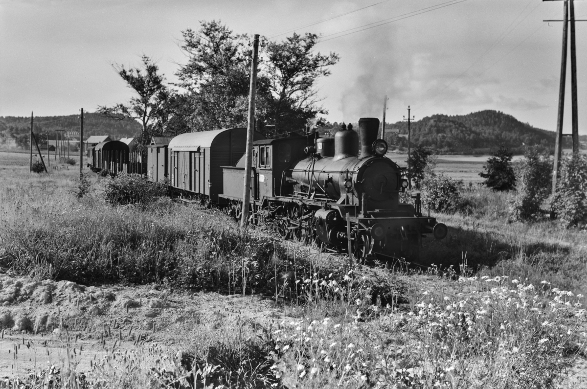 Godstog ved Lia holdeplass på Grimstadbanen. Toget trekkes av damplokomotiv type 21c nr. 373.