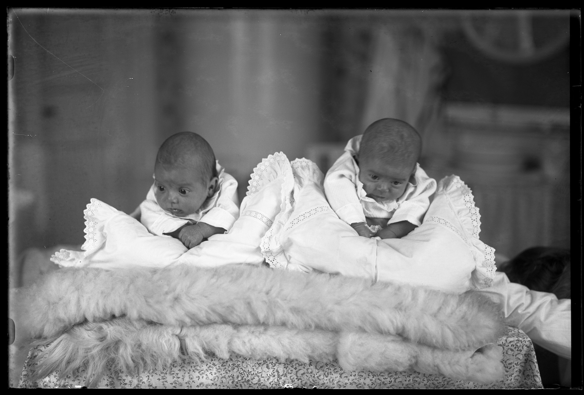 Två bäbisar, ett tvillingpar, klädda i vitt ligger på mage över kuddar och fällar. I fotografens egna anteckningar står det "Ing[enjör] Bergs tvillingar".