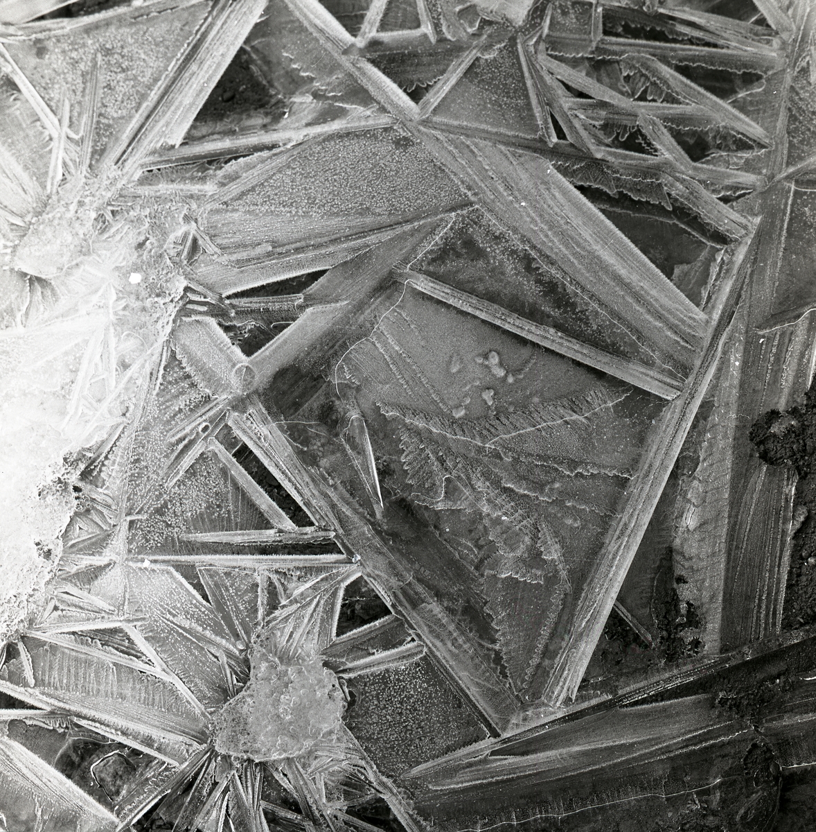 Iskristaller, februari 1960.