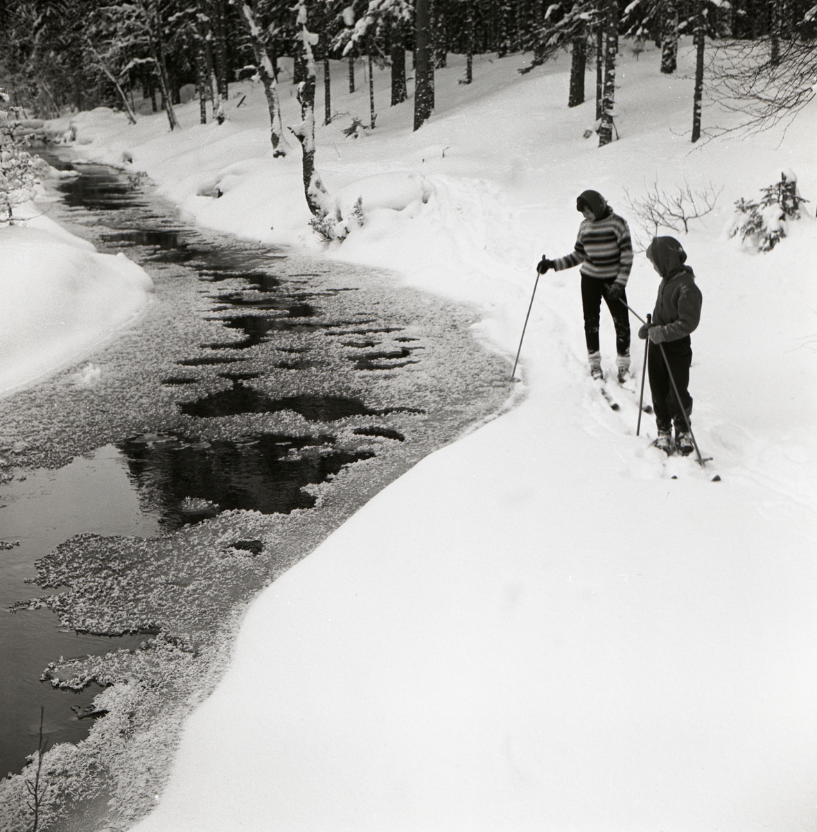 Två flickor åker skidor intill Hölesjöån, februari 1960.