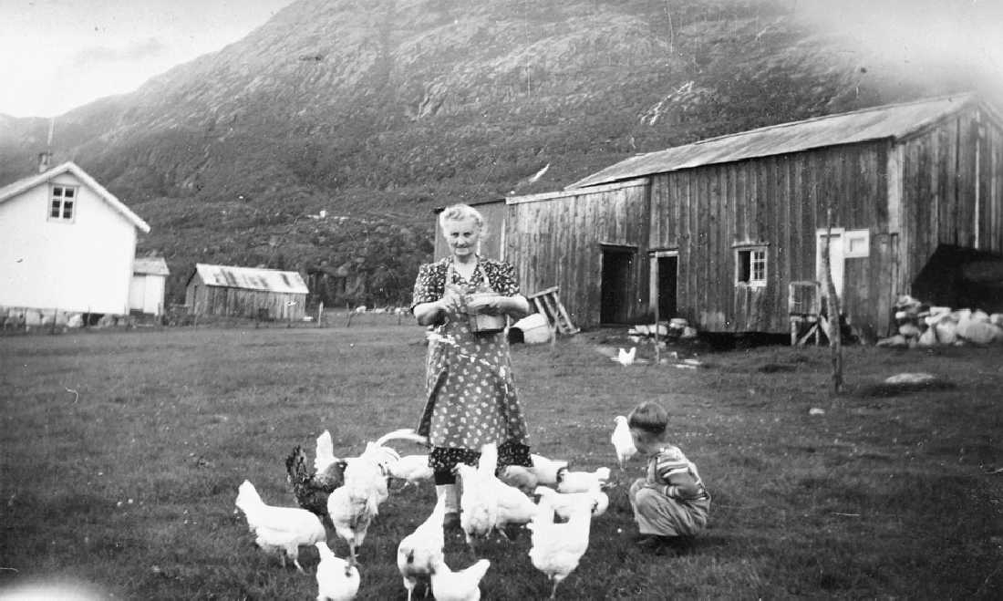Leirfjord, Fagervika. Augusta Fagervik på gården med hønene. Guten er ukjent.
Bildet er brukt i Leirfjordkalenderen - august 1997