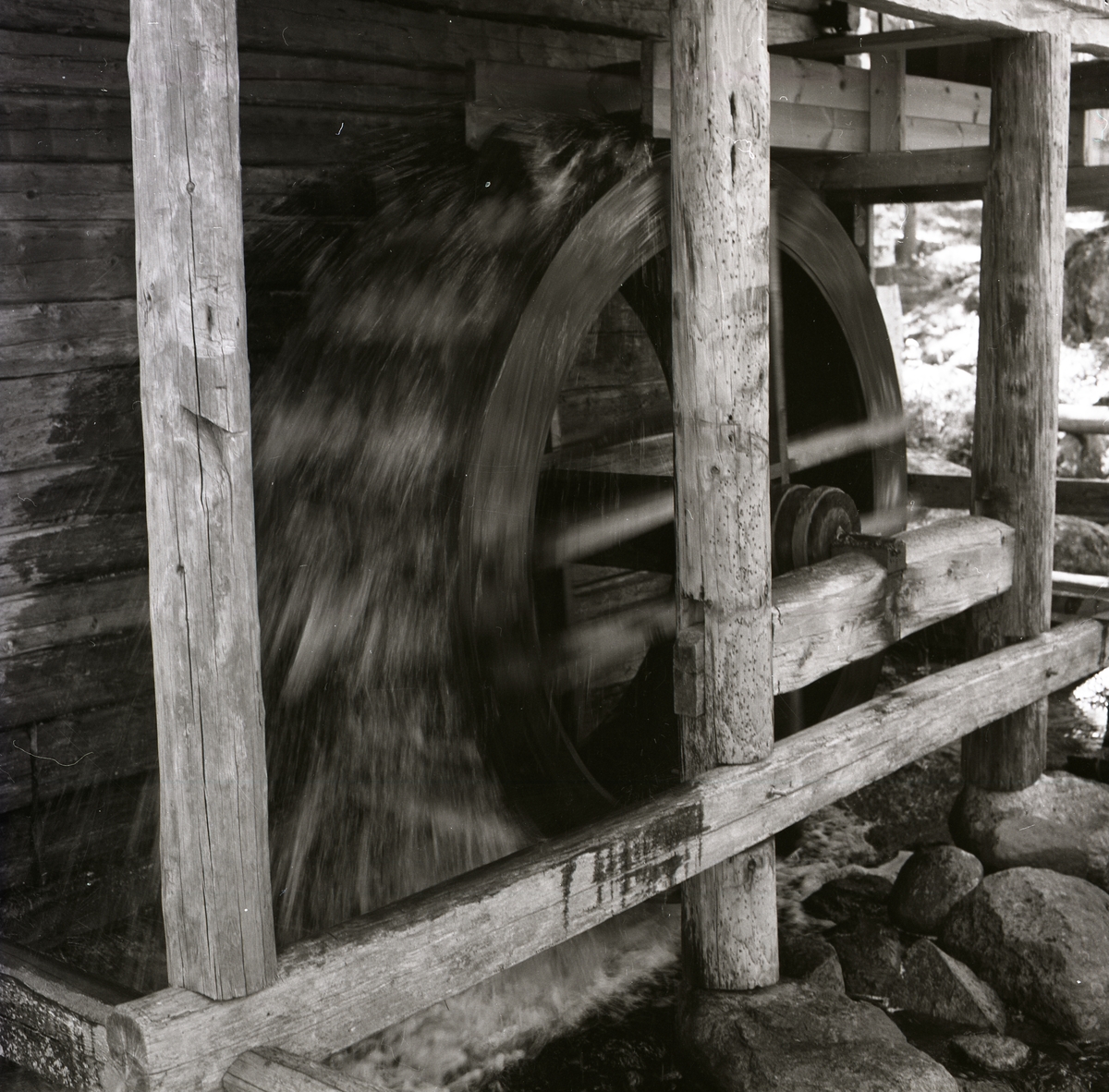 Styvjeskäkten-klappen (linberedning) i Norrala, 2 juni 1985.