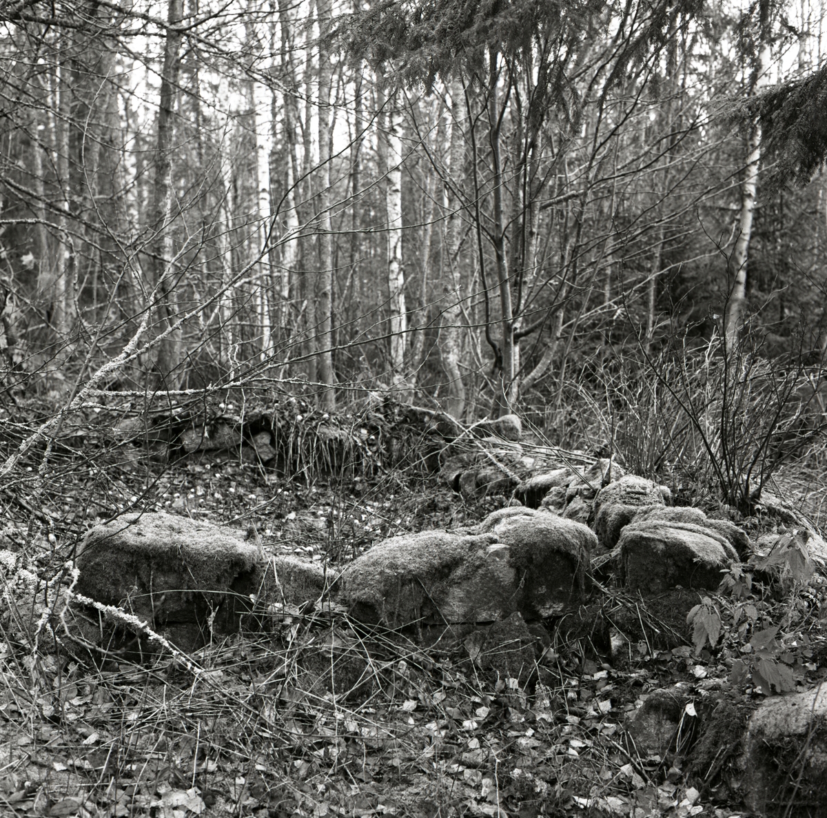 Per Jons ruiner och husgrund i skogen vid Fromskroken, 1975 i Rengsjö.