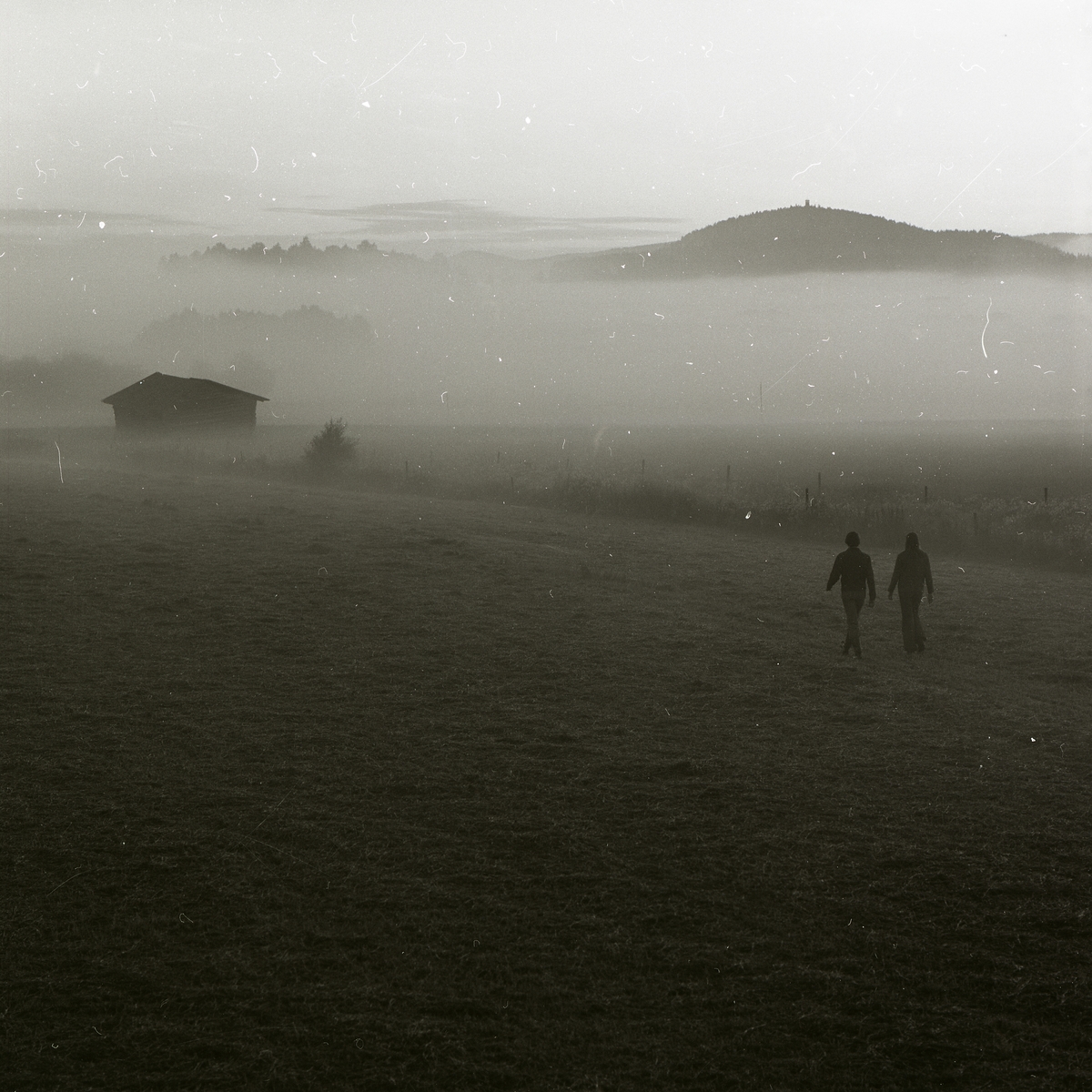 Två personer vandrar på en åker och i bakgrunden syns det dimtäckta Bullerberget, juni-juli 1978.