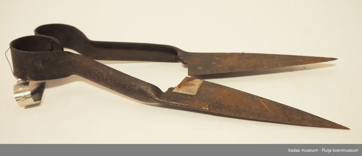 Saks for å klippe sauer. Saksa er laget av to stykker fjærende stål skrudd fast i hverandre. Noe rust, særlig på saksebladene.