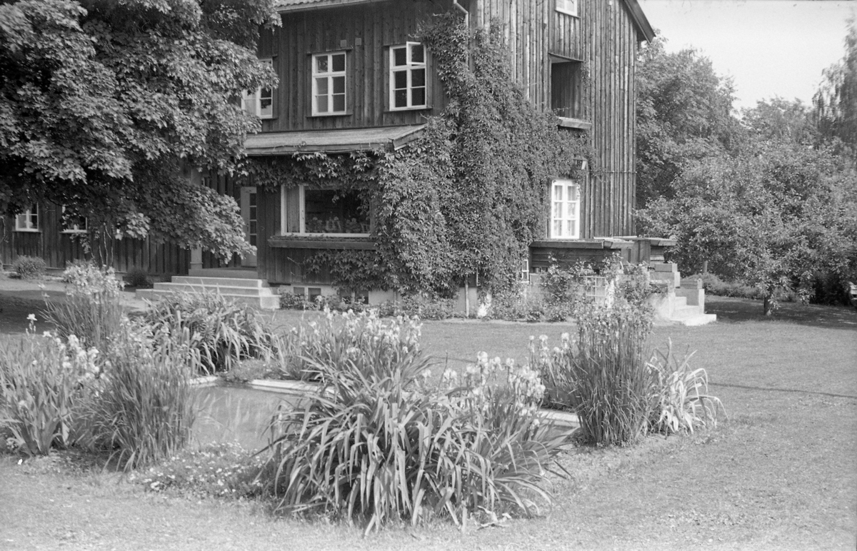 Trogstad nedre i Totenvika juni 1954. Da bildet ble tatt, Trogstad Skole, idag (2018) en del av Solliakollektivet. Serie på åtte bilder der noen er fra hage-/parkområdet rundt bygningene, mens andre er tatt fra avstand.