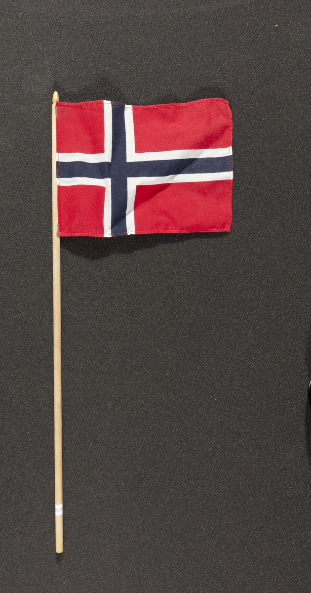 Flagg innsamlet etter terrorhandlingen 22. juli 2011 fra minnesmarkeringene i Lillestrøm. 

Klassisk norsk flagg slik vi kjenner det fra 17.mai feiringer: Blått kors i midten, hvitt kors som "omkranser" det blå (litt tynnere fargefelt) på en rød bakgrunn, de blå og hvite korsene går helt til kanten av flagget. Dimensjonene på feltene er slik at de to røde felten mot pinnen er halvparten så store som de to ytterste røde feltene. Sømmene er sydd med rød tråd. Flagget brukes av både barn og voksne. 
Selve flagget er litt skrukkete men pinnen er ren og ikke slitt. Det er et klistremerke med navnet på produsenten nesten nederst på pinnen. Den er hvit med sort skrift og en tegnet hund.