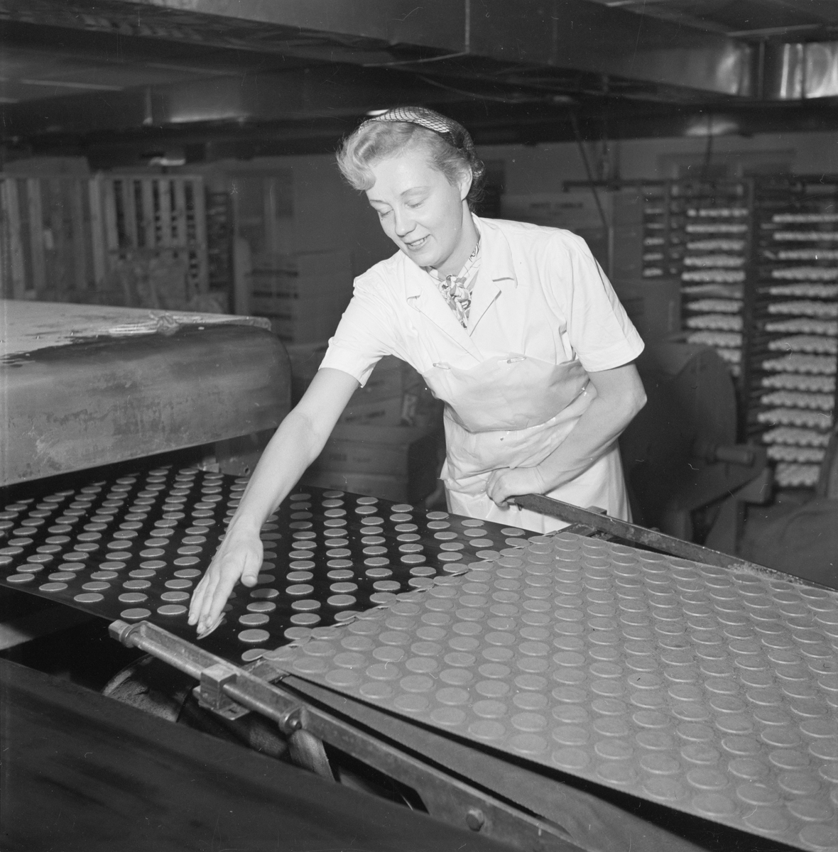 En kvinna står vid ett band med pepparkakor. Pricks, fabriken, Tierp, Tolfta socken, Uppland 1953