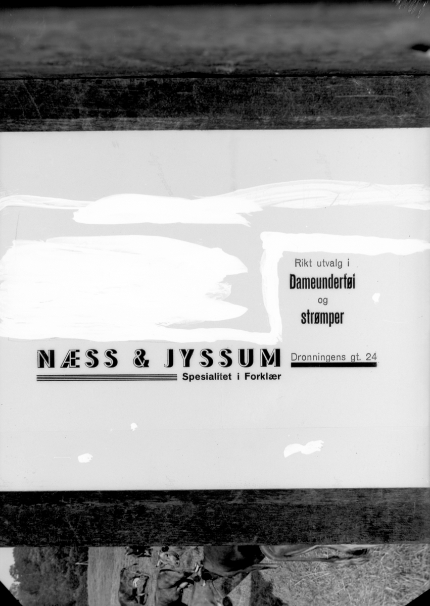 Næss & Jyssum Trikotasjeforretning