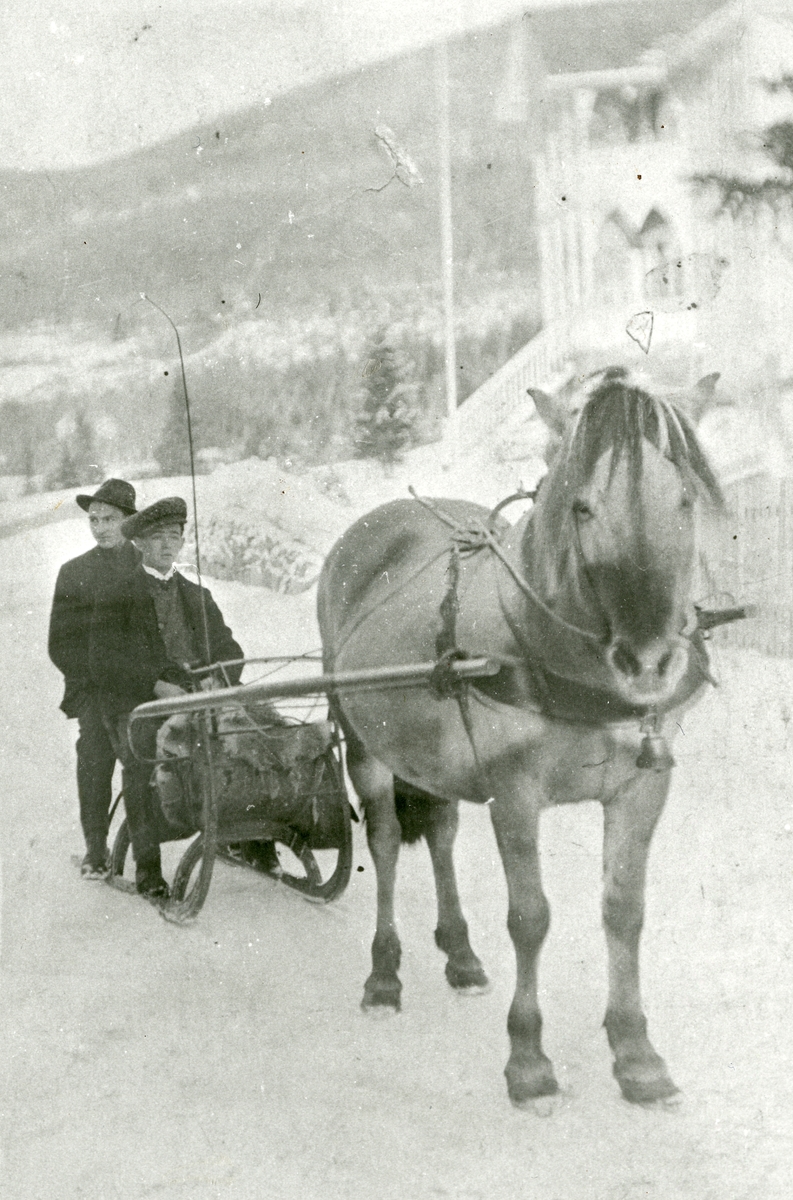 Kjøring Med Hest Og Spisslede Ca 1920 Valdres Folkemuseum Digitaltmuseum 