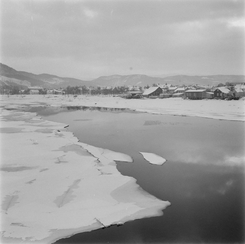 Oversikt fra Skjerva ved Bordveneset over elva mot Skjervgata. Bebyggelse. Is på elva.
