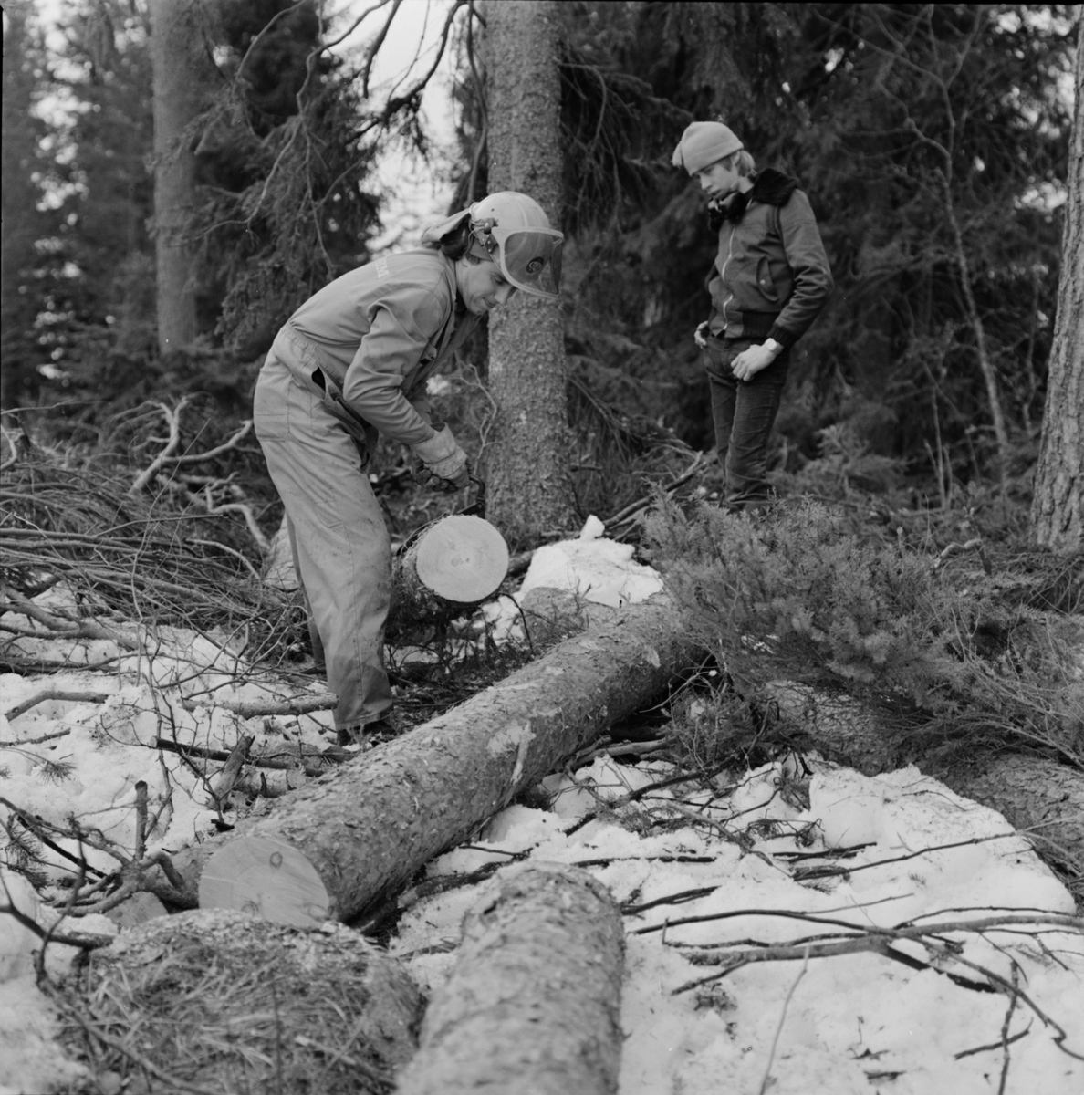 Lantbrukare Bertil Widblad arbetar i skogen, sonen Krister tittar på, Mossbo, Tierps socken, Uppland 1981 - 1982