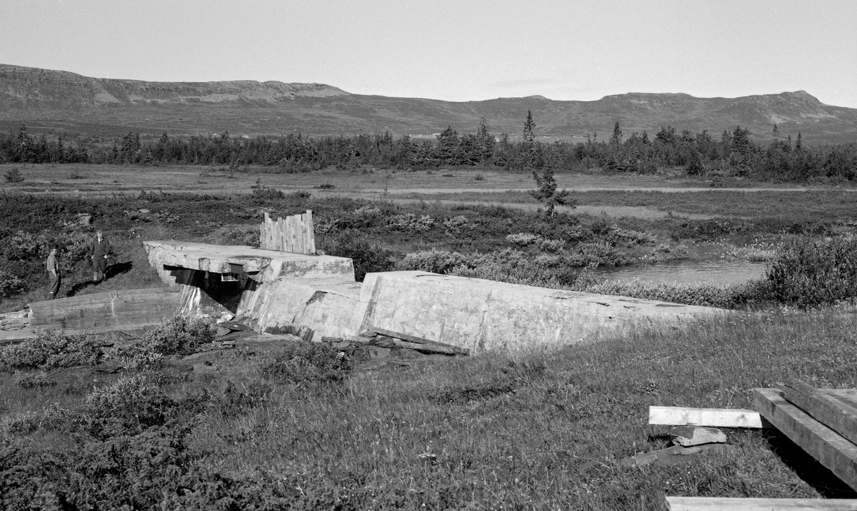 Sjøsæterdammen i Lille Gausa (i Gausdal), fotografert i 1961. Det ser ut til at dammen på dette tidspunktet forholdsvis nylig var fornyet med støpte vanger på begge sider av elveløpet. Hovedløpet var stengt med nåler, vertikalstilte planker som lå an mot en terskel ved botnen av damløpet og brua over.  Ved sida av ser det ut til å ha vært tilrettelagt for et overløp.  Sjøsæterdammen lå på et sted der Lille Gausa rant ut av Sjøsætervatnet gjennom et myrområde, cirka 830 meter over havet.  I dette høgdelaget var det lite tømmerskog, så dammen ble brukt til å regulere vannføringa i det nedenforliggende elveløpet.