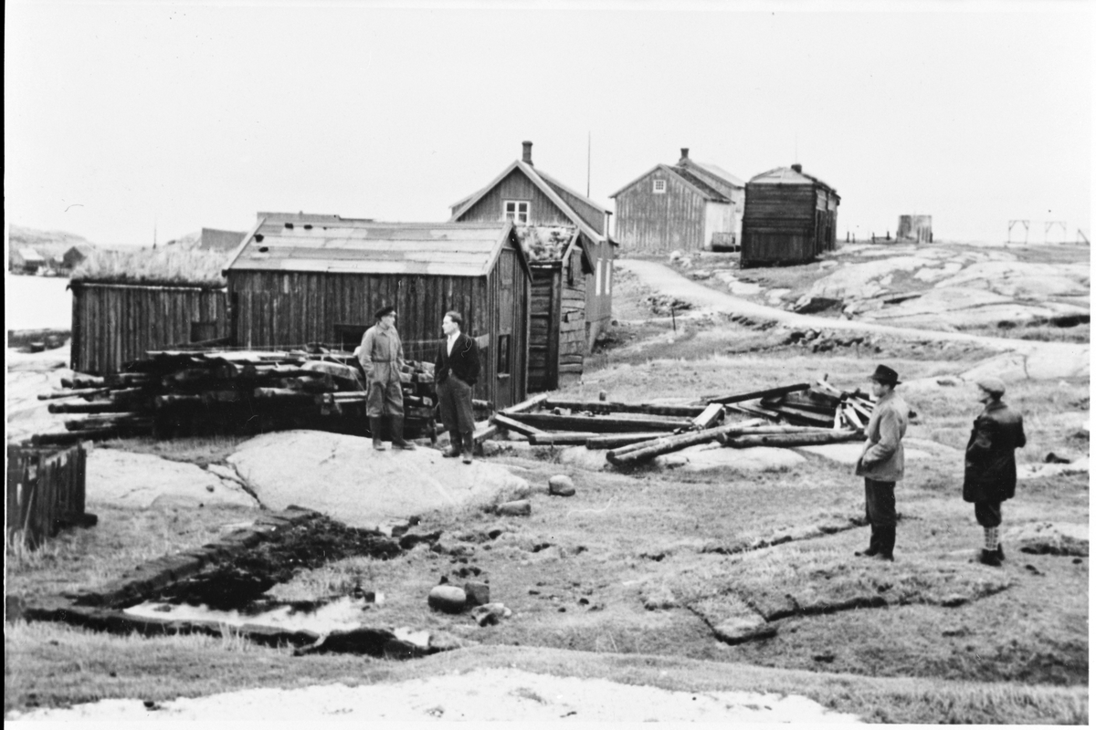 Rorbuer og losens hus, Husøya, Halten, Frøya.