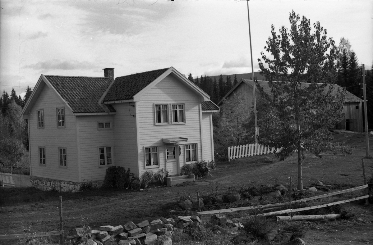 Muligens bruket Dammen på Krabyskogen. Seks bilder fra oktober 1955.